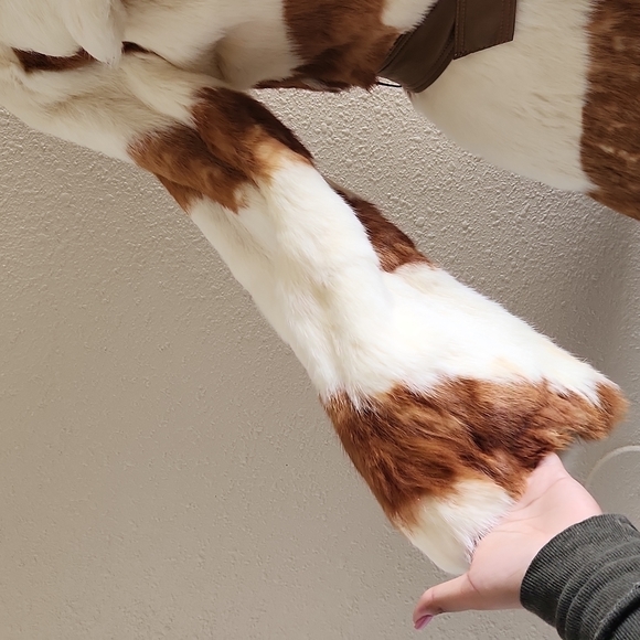 Vintage Just Fur Fun Coat - Picture 4 of 16